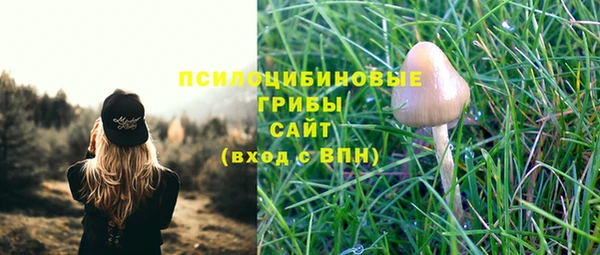 прущая мука Лабытнанги